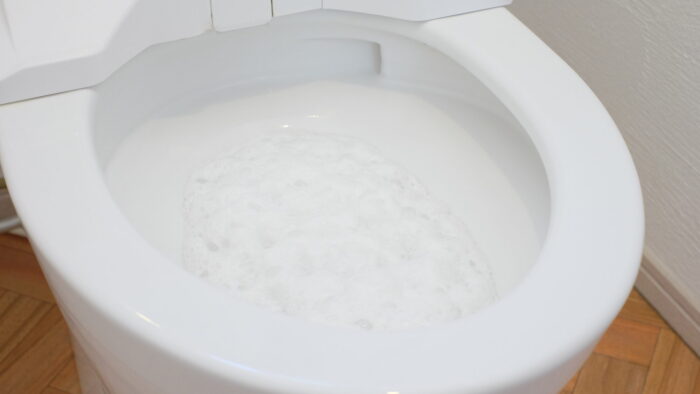 トイレつまりの原因を分かりやすく紹介！予防法・直す方法も解説