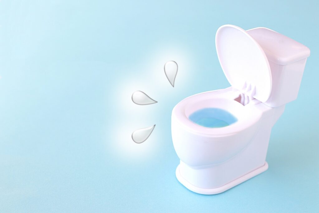 トイレの排水管つまりのトラブル