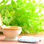 トイレの排水管の仕組み・構造 | 起こりやすいトラブルや予防法も解説