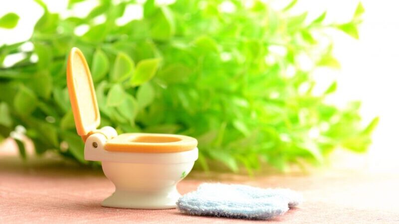 トイレの排水管の仕組み・構造 | 起こりやすいトラブルや予防法も解説