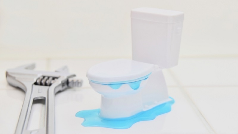 トイレで水の逆流はなぜ起きる？原因や対処法・防ぐ対策を解説