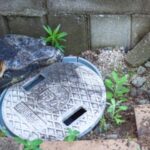 汚水枡があふれる原因を徹底解説！つまりを自分で解消する方法も紹介