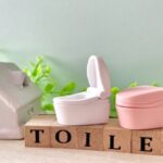 バリウムでトイレが流れない原因・対処法！つまりの予防法も解説