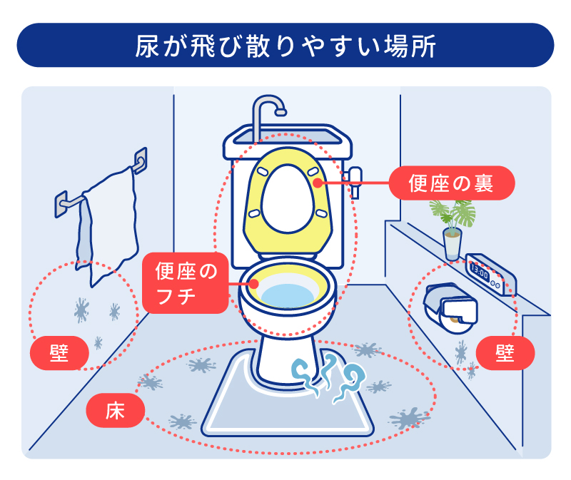 尿が飛び散りやすい場所