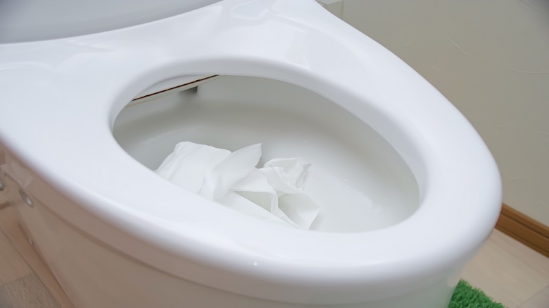 トイレの排水管つまりの原因・詰まったときの対処法を紹介！予防法も解説